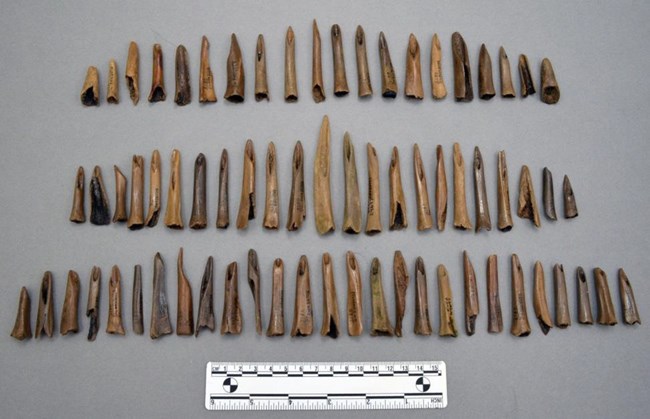 Collection of socketed bones and antler points.