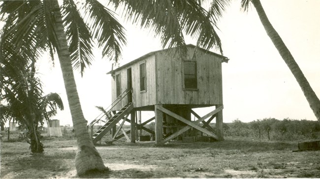 House on stilts