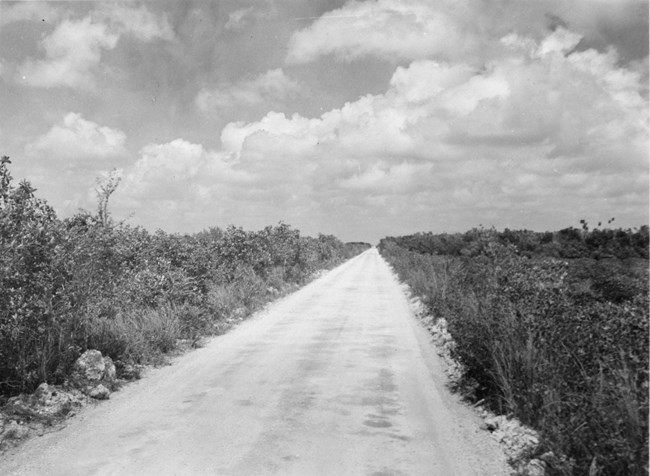 The old Ingraham Highway, a gravel road through the Everglades
