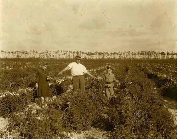 William Harvey Cauley and his two children in a tomato field