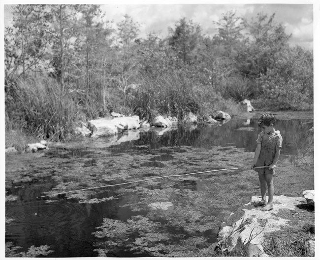 Fawcett_BoyFishing_EVER17100 A young boy fishing at the edge of water