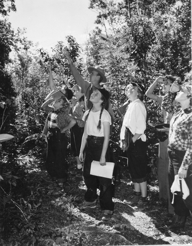 Fawcett_GirlScouts1_EVER18960 A park ranger points at something off into the distance while surrounded by Girl Scout troops