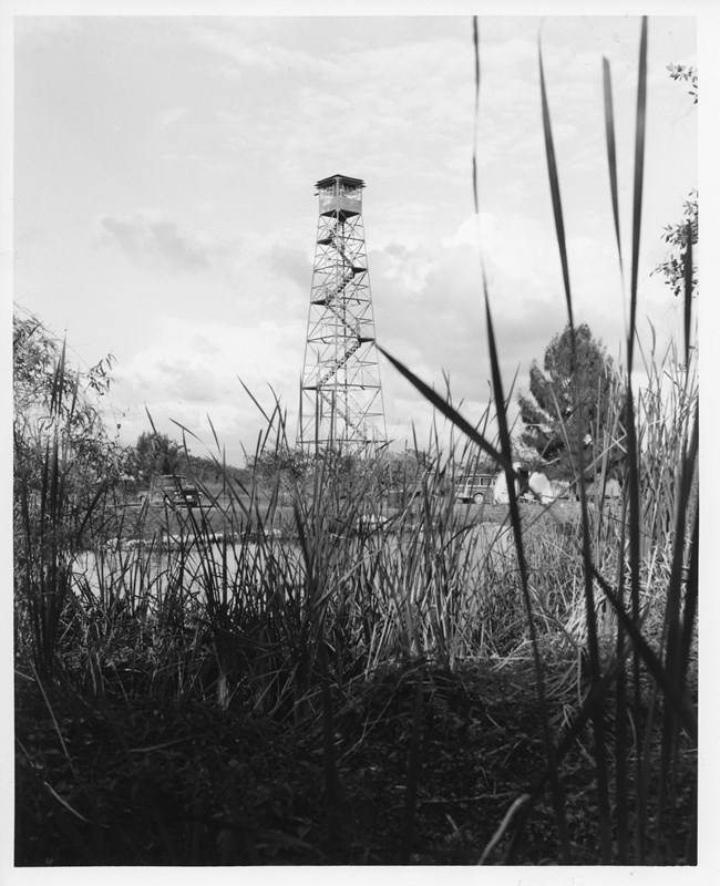 Rowe_SharkValley_EVER12085 A view through the sawgrass with the historic Shark Valley watchtower in the distance
