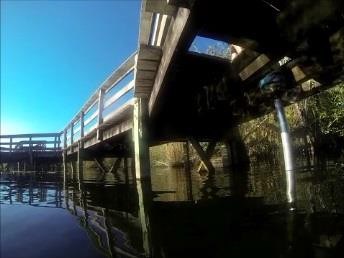 Under view of Anhinga Trail