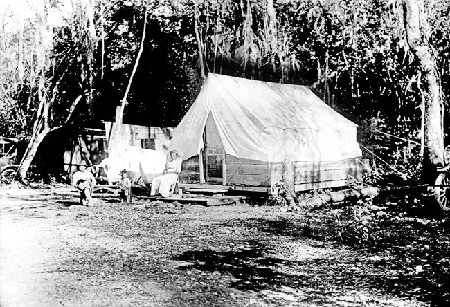 Tent where the warden for Royal Palm State Park, Charles A. Mosier lived