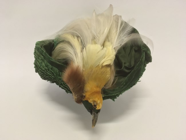 Hat featuring the Lesser Bird-of-Paradise