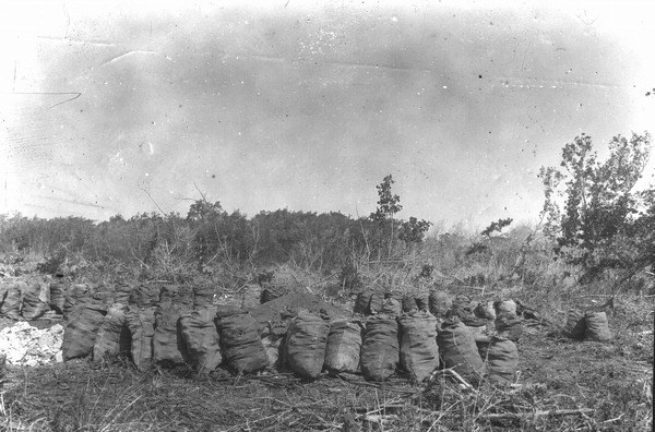 Bags of charcoal at Cape Sable