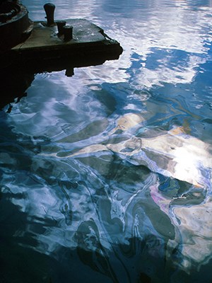 oil sheen thin layer of oil on surface of water