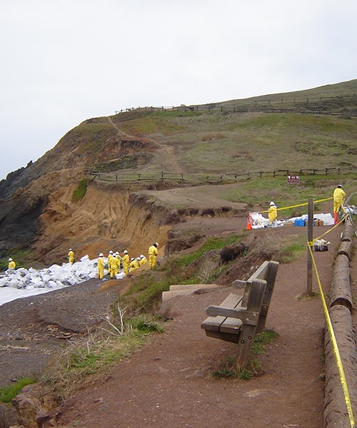 Haz Mat Crews in yellow suits help remove the oil from the beaches.