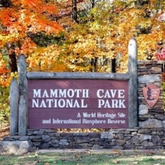 Mammoth Cave National Park entrance sign surrounded by yellow-orange autumn leaves