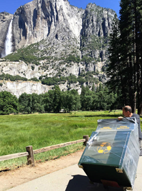 Waste Bins with Yosemite mountain backdrop