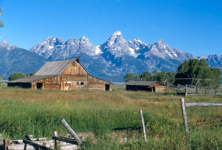 Grand Teton National Park mountain and meadow view