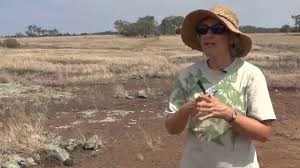 Annie Ross in the field