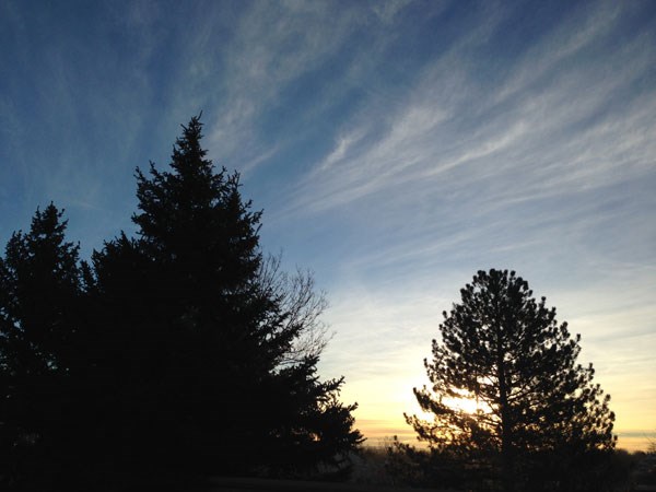 lt= Sunlight through the trees