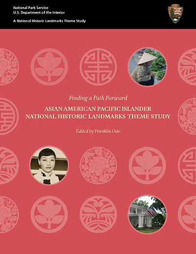 front cover of the AAPI theme study