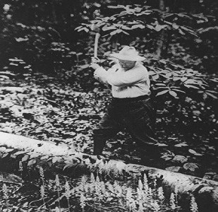 TR chopping wood TR chopping wood
