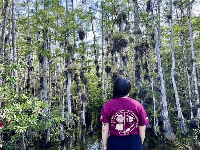 ACE CRDIP Intern Susana Perez at Everglades National Park Woman with CRDIP shirt standing facing forward in the everglades wet lands