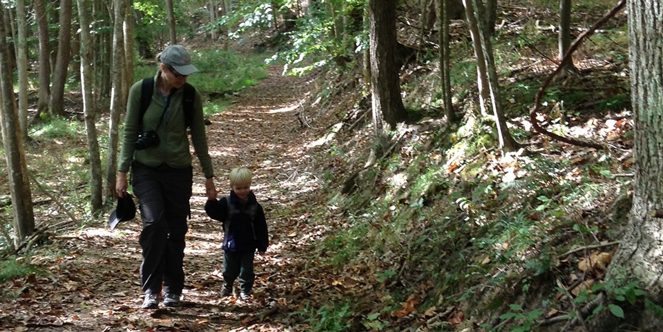 adult and child walk in woods
