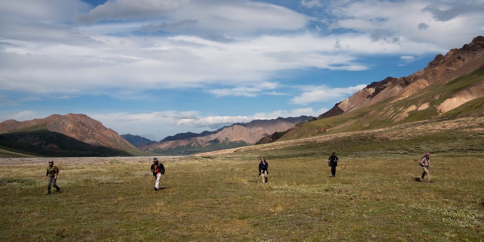 Five people hike in vast open tundra with mountains in the distance