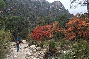 A man with a child on his shoulders walk down a dirt trail