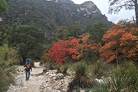 A man with a child on his shoulders walk down a dirt trail