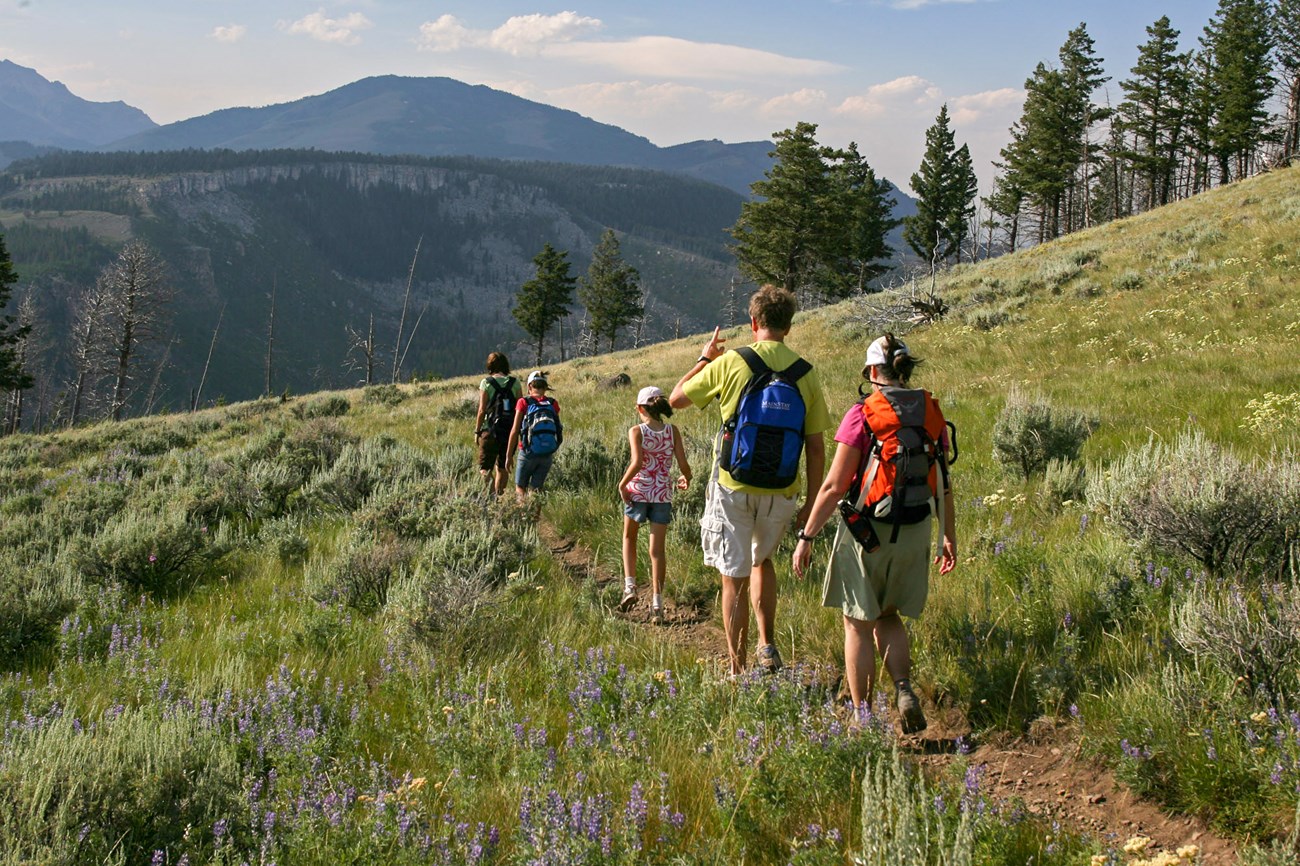 hiking family two adults and three kids hike down a mountain trail
