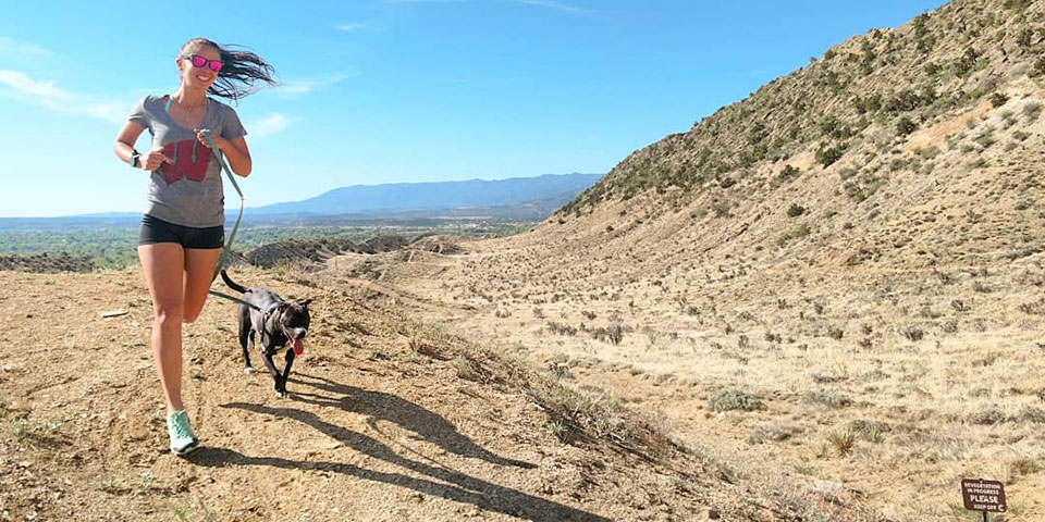 dogs and hiking