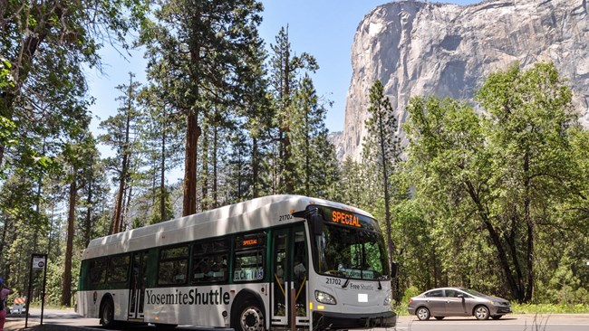 A photo of a shuttle bus in Yosemite Valley, with tall trees in the foreground, high granite cliffs in the background, and blue sky above.