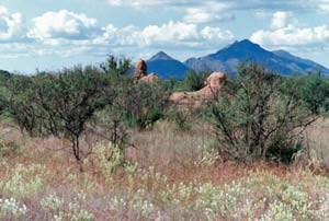 The ruins of the mission church of Los Santos Ángeles de Guevavi beneath the backdrop of San Cayetano and the Santa Rita Mountains