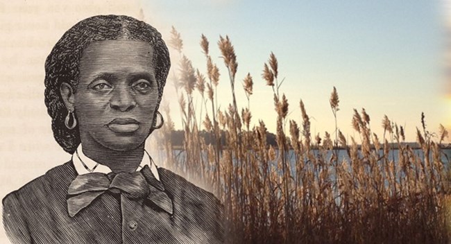 Collage of drawing of Black woman in front of tall grass from the Eastern Maryland Shores.