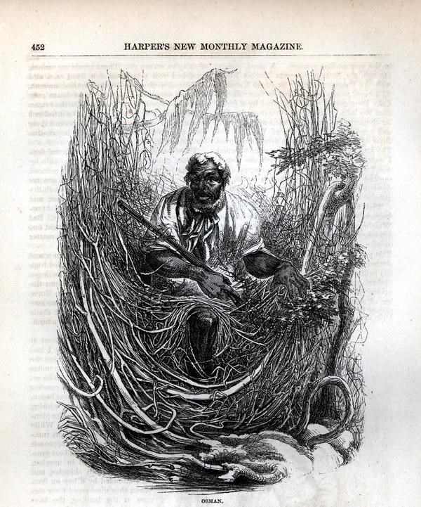Osman This is a picture of a freedom seeker in the Great Dismal Swamp