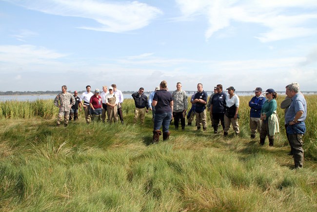 Jamaica Bay marsh islands restoration project