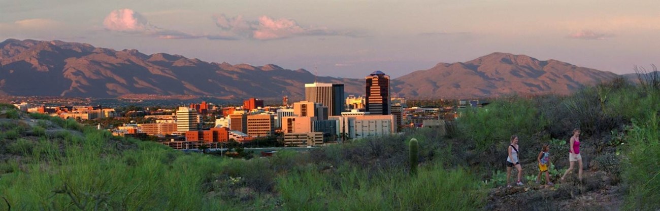 Tucson Az News