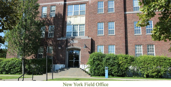 NYFO
