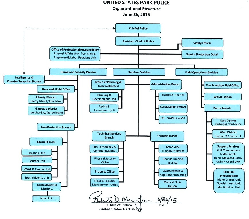 Nps Org Chart