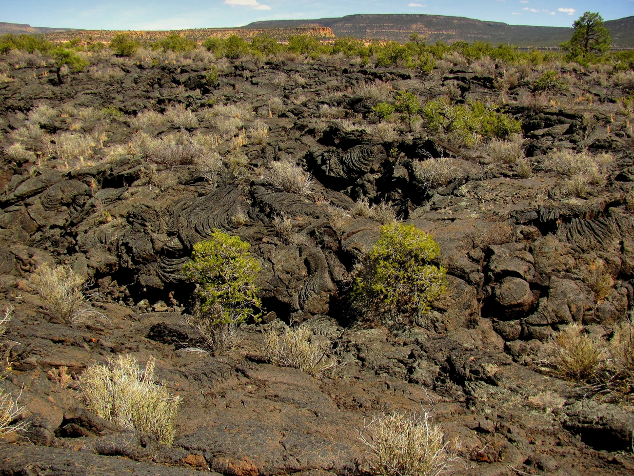 4cbf3c6d-e92c-4e9a-bec2-803511665dafOriginal Photo of a volcanic landscape with arid region vegetation