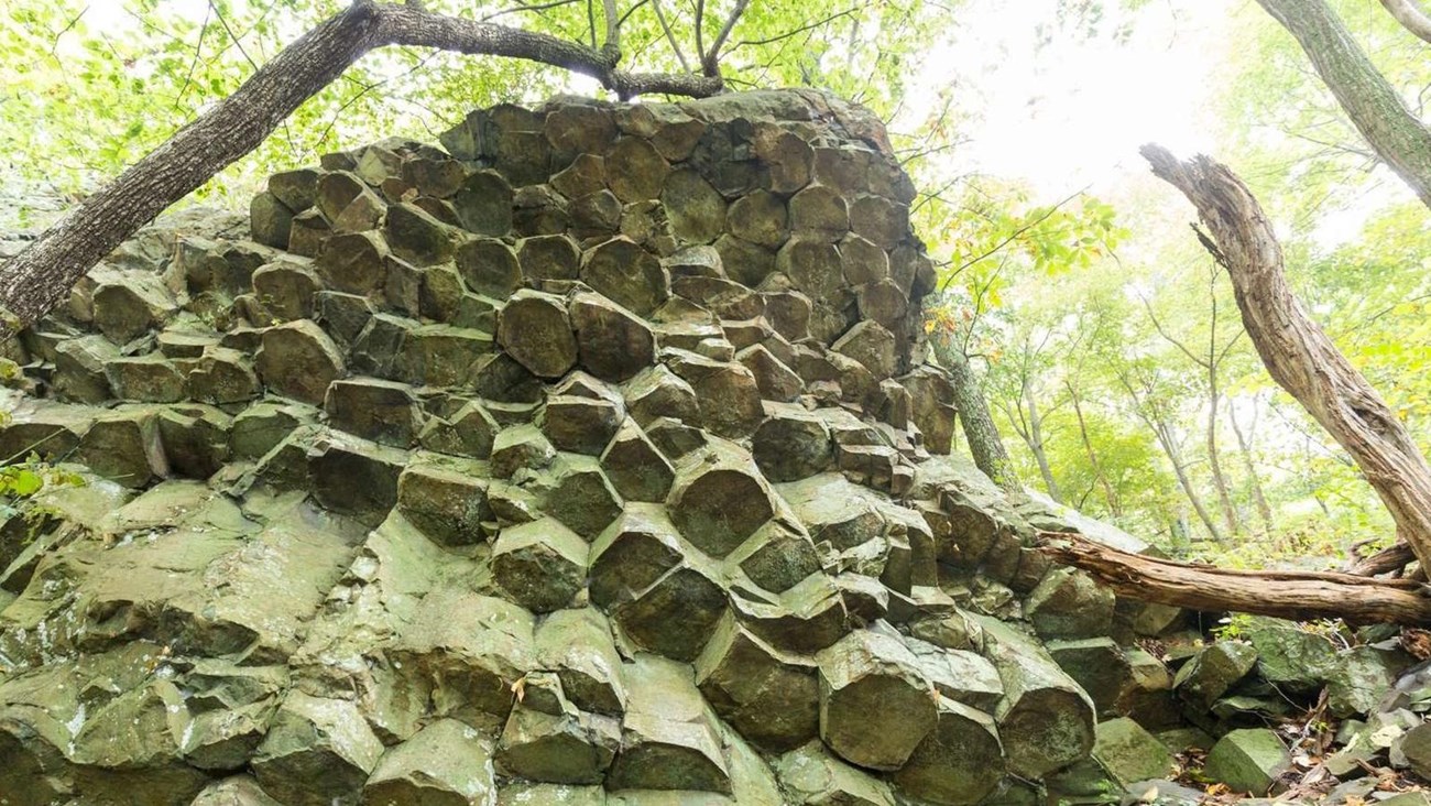 photo of rock with columnar jointing