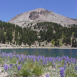 Photo of a volcanic peak with flowers and a lake in the foreground.