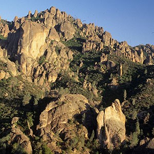 Photo of a mountain side covered with rock pinnacles.