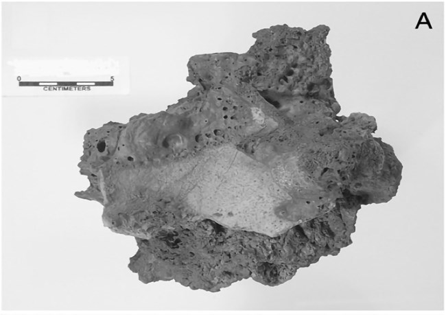 broken pottery piece in a volcanic rock