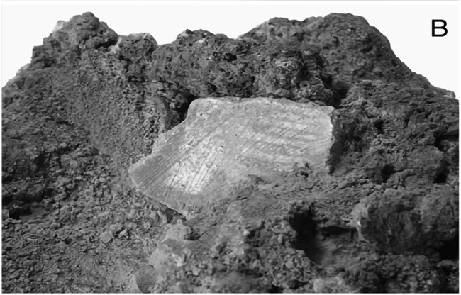 Sherd rock 2 pottery sherd in volcanic rock