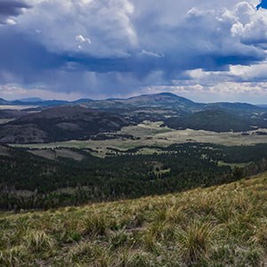 Photo of volcanic landscape within a large caldera with grass and tree cover.