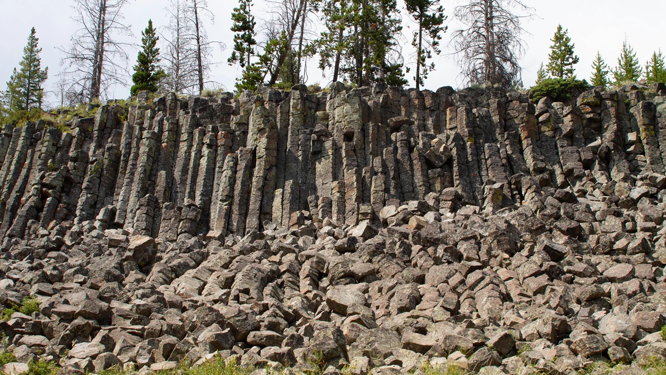 YELL sheepeater cliff nps diane renkin photo of a cliff of vertically jointed rock and a talus slope