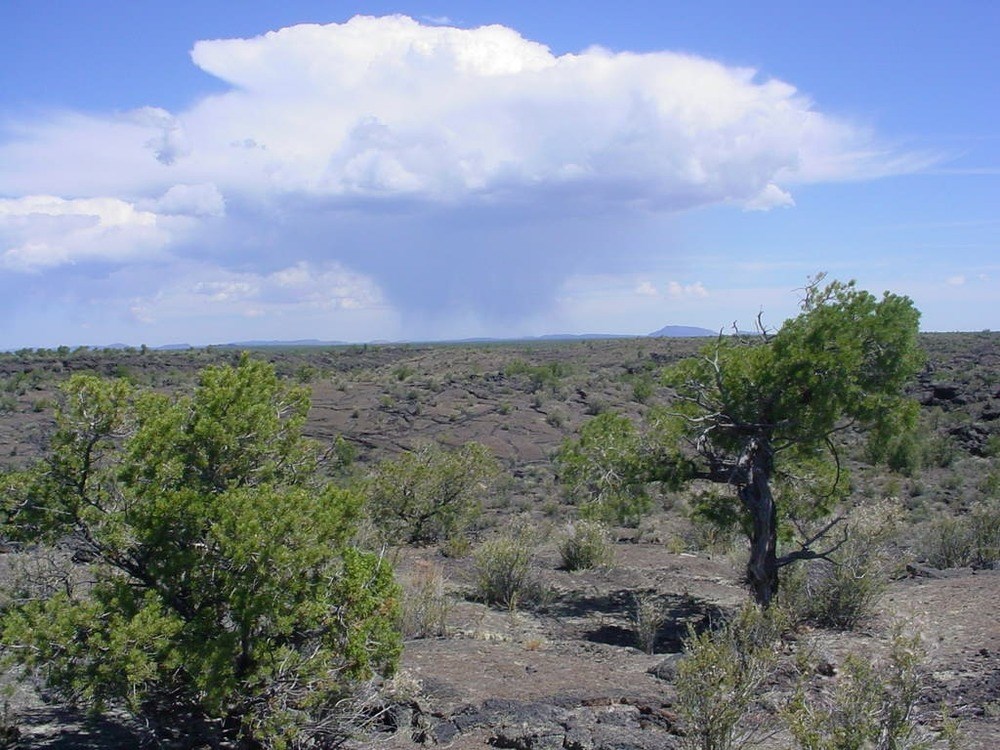 landscape covered with black rock from a lava flow