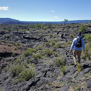 photo of a person walking across a field of lava rock