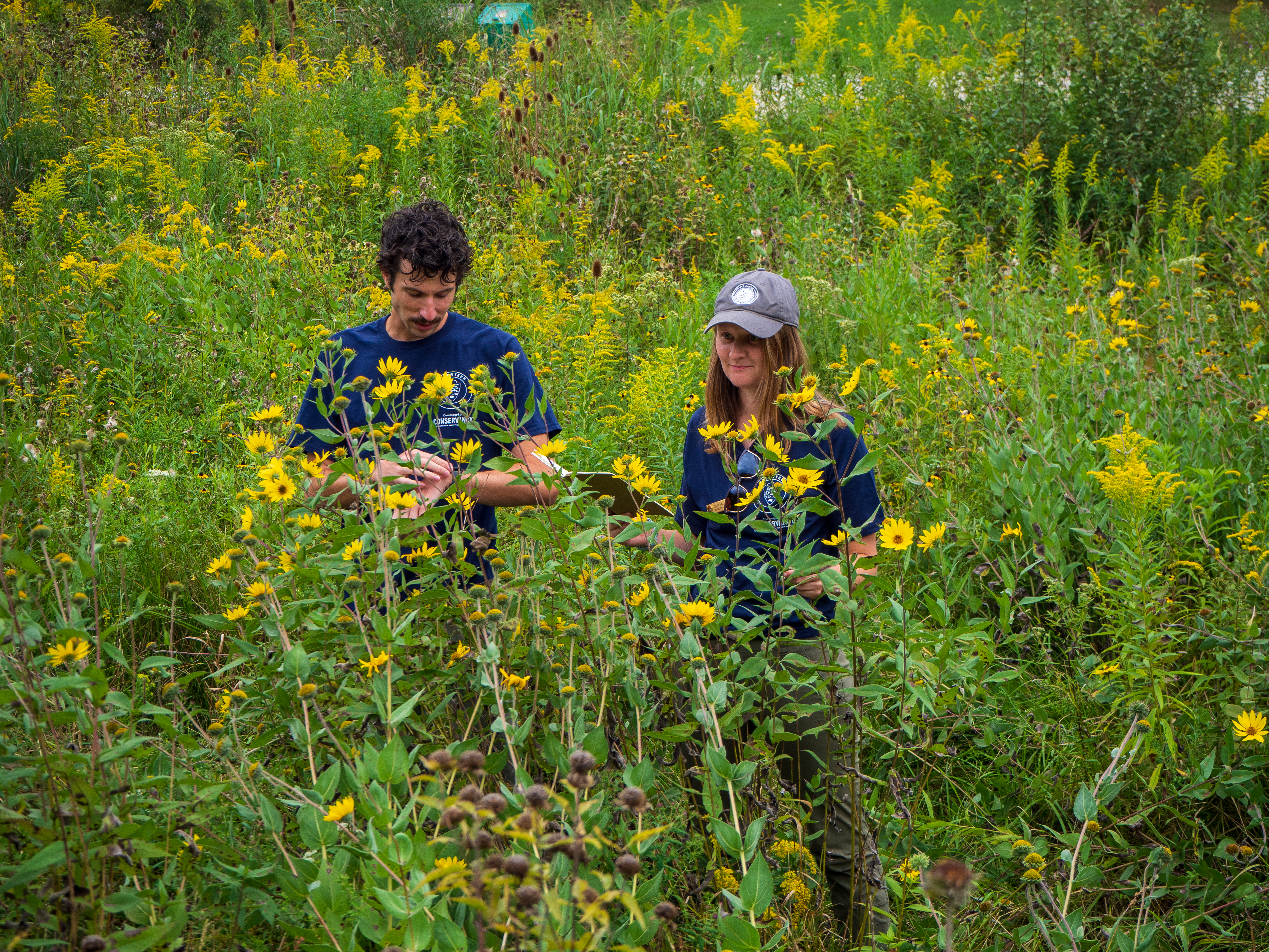 A photo of Cameron, Community Volunteer Ambassador from Cuyahoga Valley National Historical Park, and another person conducting a Citizen Science event in a field of yellow flowers.