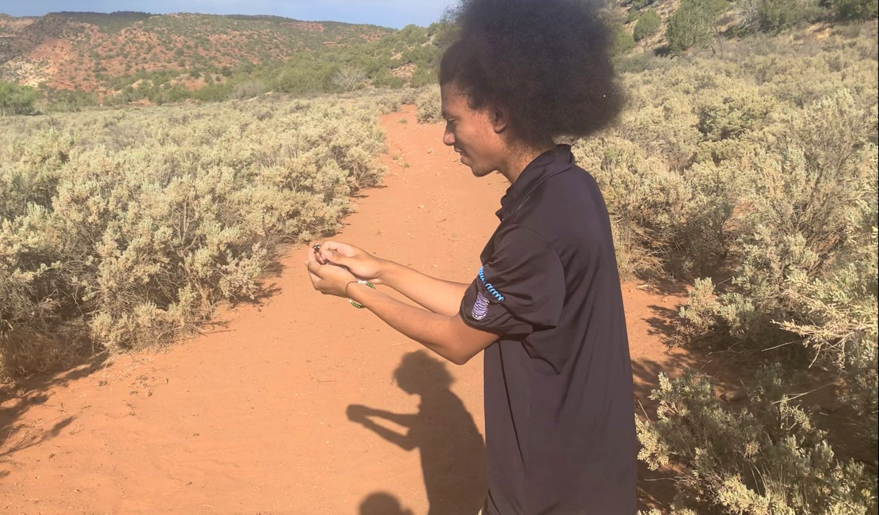 A photo of Jaddus, Community Volunteer Ambassador from Capitol Reef National Park looking down while holding a butterfly.