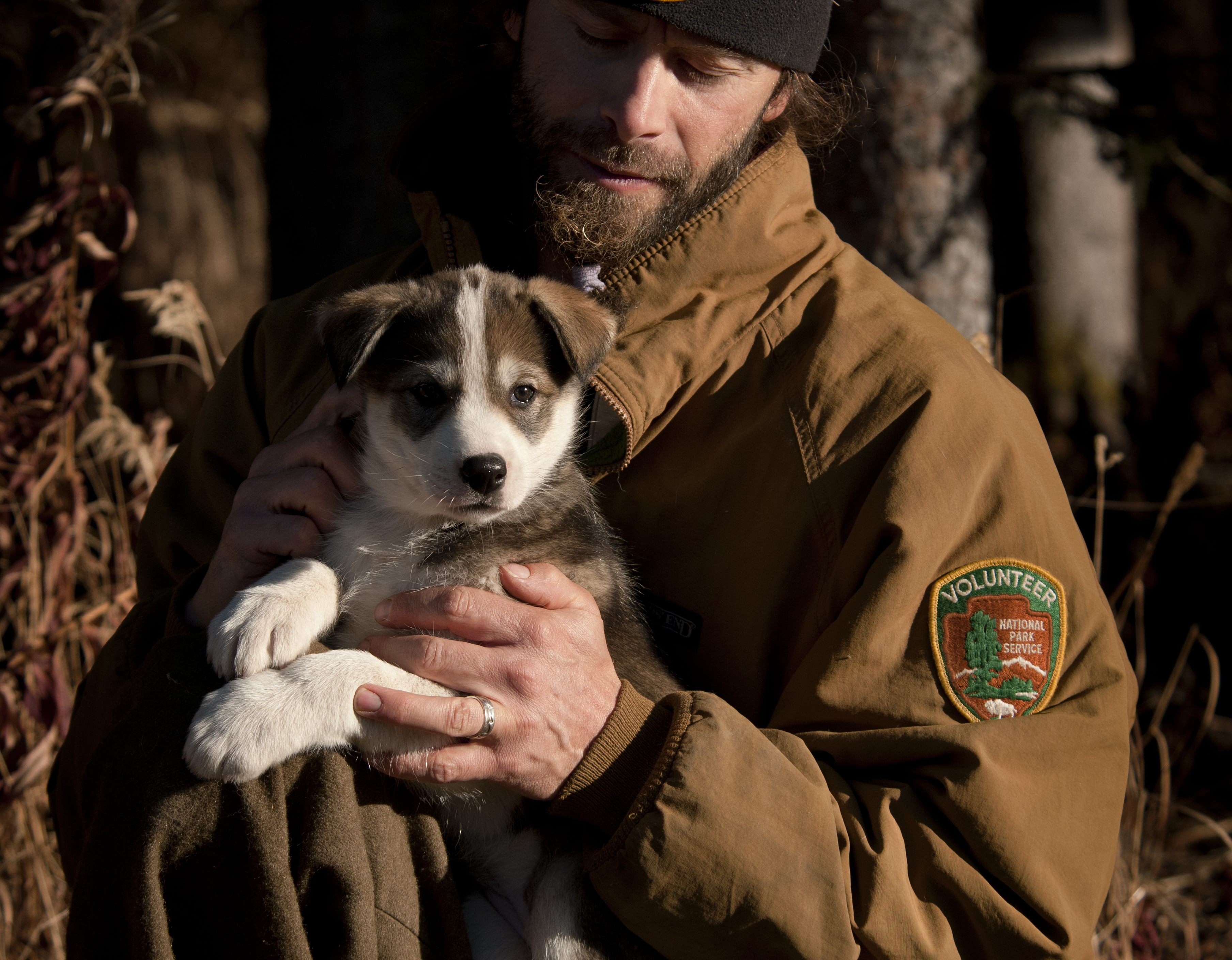 Denali Park volunteer holding a puppy named Cache Denali Park volunteer holding a puppy named Cache