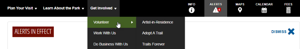 A screenshot of the navigation bar of a webpage. A dropdown menu is activated for "Get Involved" with a submenu "Volunteer."