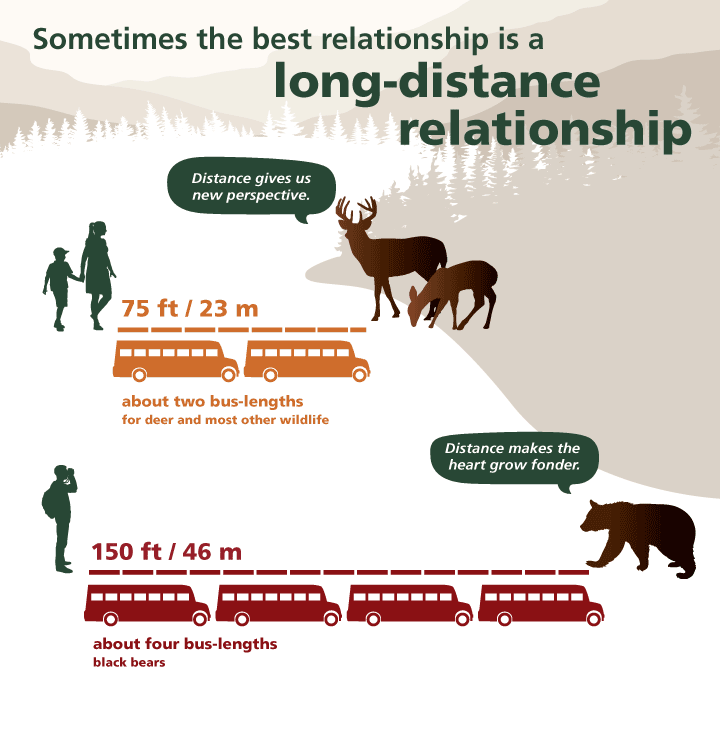 A graphic comparing safe viewing distances to bus lengths A graphic comparing safe viewing distances to bus lengths